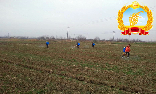 种稻田间杂草如何防治,农民的杂草怎么处理