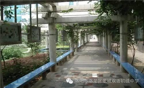 洛阳龙城双语中学招生平台,洛阳最新小八中初中招生简章