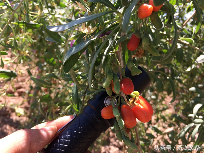 能给手机充电也能当支架,能给手机充电能连wifi的充电宝