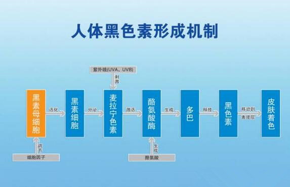 治疗白癜风的常识都包括哪些,白癜风怎么反向治疗