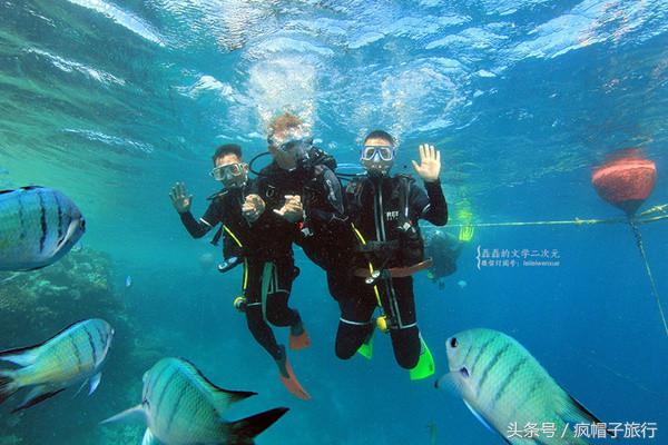 36个必须知道的澳洲旅行贴士,澳洲昆士兰州自由行攻略