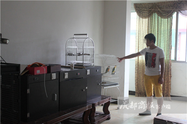成都小伙收购12只鹦鹉拿到网上卖结果被判刑罚了3万元