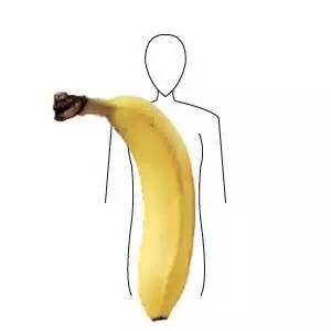 健身小体型和大体型区别,新手健身如何在两个月内改变体型