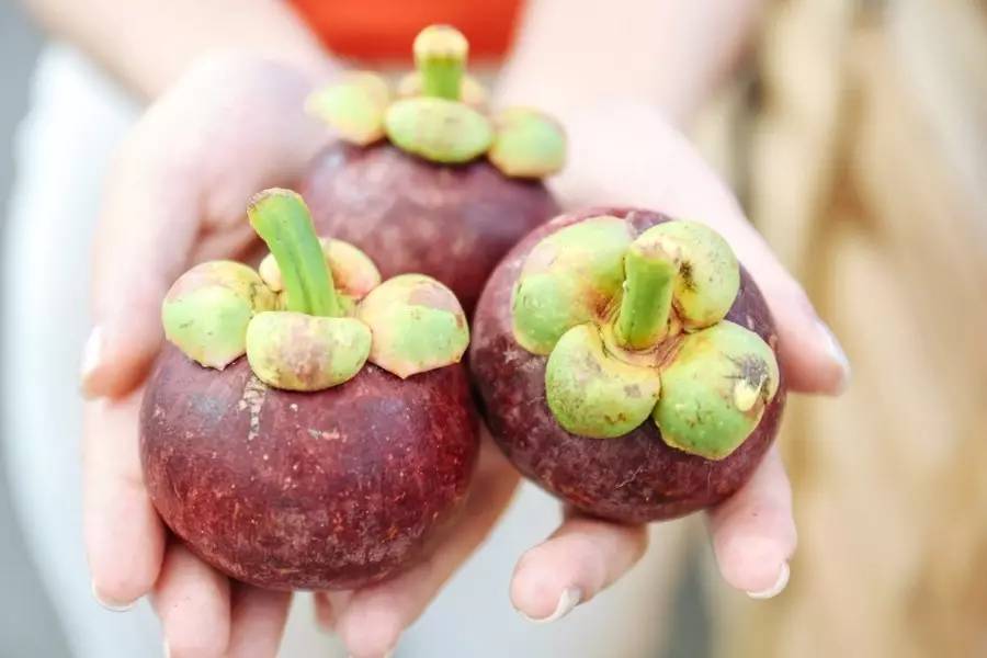 泰国吃榴莲自助餐视频,第一次吃泰国料理