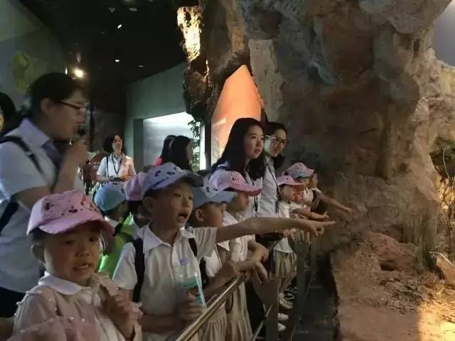 回忆一年级的时候我加入了少先队,光荣地加入了少先队