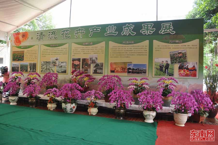 大山深处绽放美育之花新华社,大山深处自然生长而美丽的花