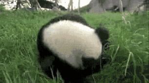 华西医院通知最新,华西医院官网特需门诊