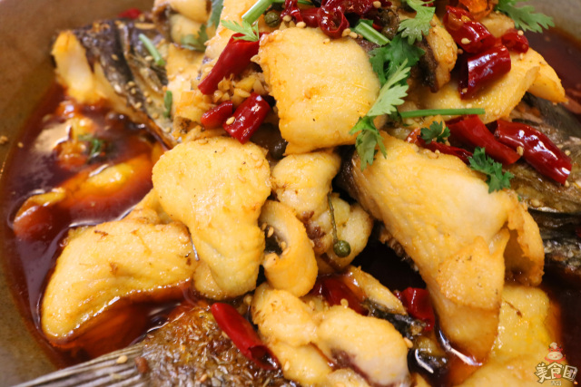 史无前例！秒杀吃鱼！这锅鱼的味道，猫和你都想知道！