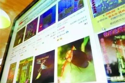 淘宝禁售产品新政策,淘宝商家禁售公告