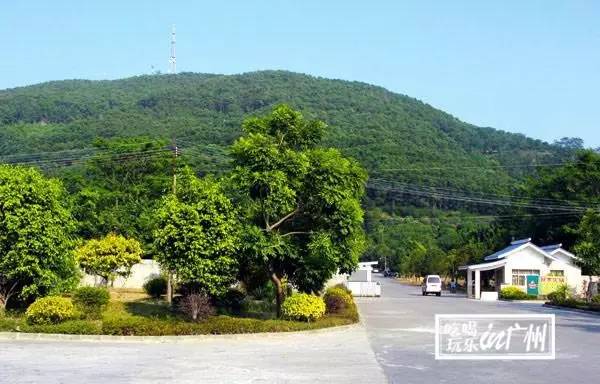 广州最新最美最好玩的景点,广州最值得去玩的景点推荐一下