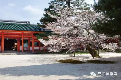 花沁心扉，见我尤怜