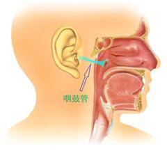 世界爱耳日在线观看,世界爱耳日主题