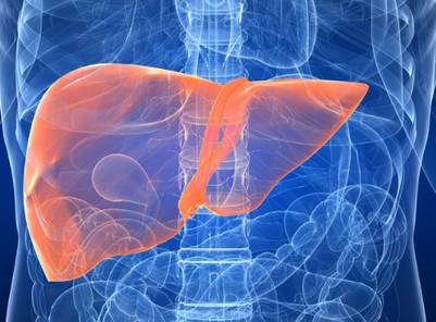 心火胃火肝火肺火怎样灭脏腑之火,心火肝火胃火肺火一招去火