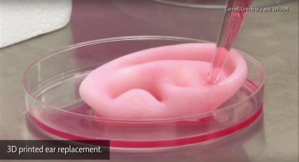 生物3d打印,3d打印生物的视频