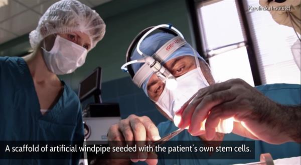 生物3d打印,3d打印生物的视频