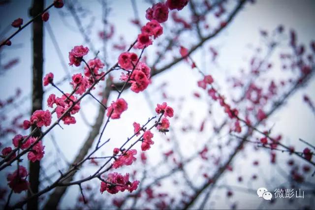 澶у江灞辩殑缇庢櫙,褰北鏄ュ鏃呮父