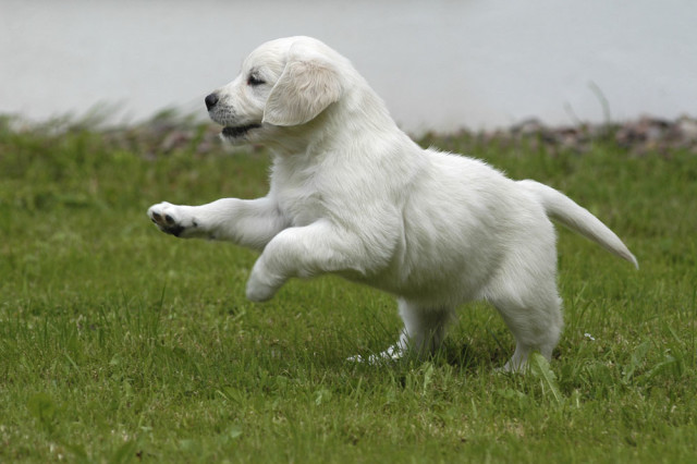 准妈妈的一些注意方面,为了孩子也要看看