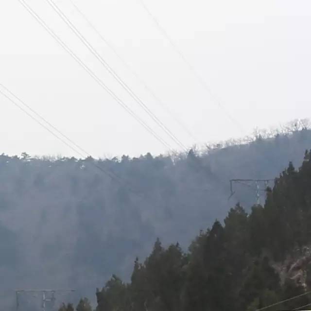 为什么我拍出来的照片不清楚,为什么拍出来的照片细节不清新