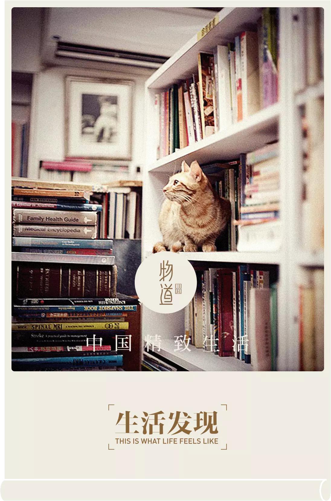 物道丨这家书店，养了33年的猫
