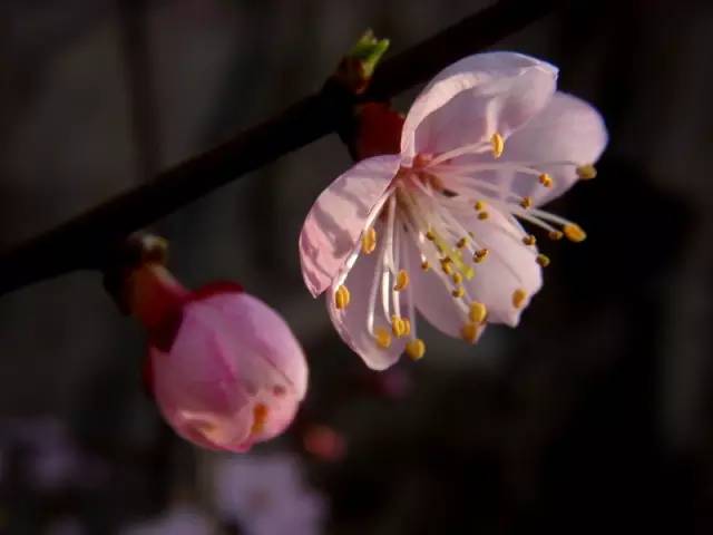 天气奥斯卡,奥斯卡金像奖地点