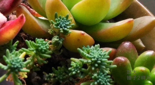 锤子smartisan坚果pro手机评测,锤子手机smartisant2