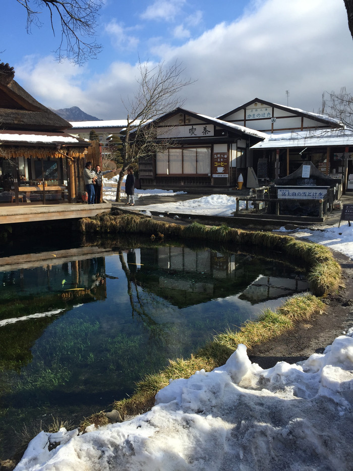 日本的冬天依旧色彩绚烂,冬季日本的冰雪阳光