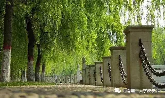 毕业后同学会怎么样,毕业后校友会有必要去吗