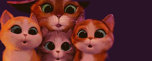 城南大型商场综合体,城南新商场在哪开建