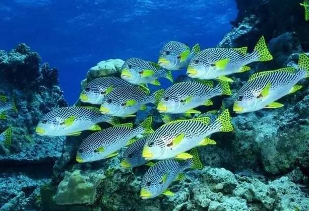 河北带孩子去最好玩的游乐场,河北最大的儿童室内游乐场