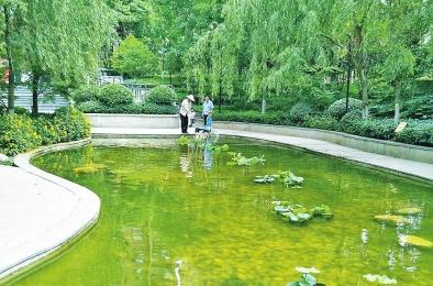 郑州一小区噪音太大,郑州一小区有噪音