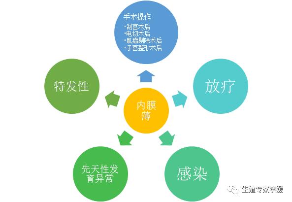 薄型子宫内膜是什么意思,薄型子宫内膜怎么调理