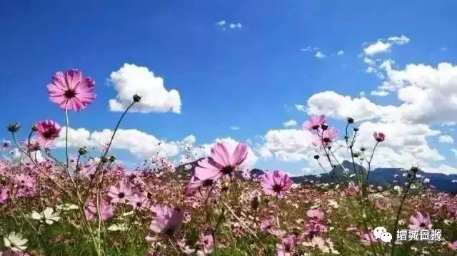 增城游玩推荐免费景点攻略,增城免费旅游景点攻略