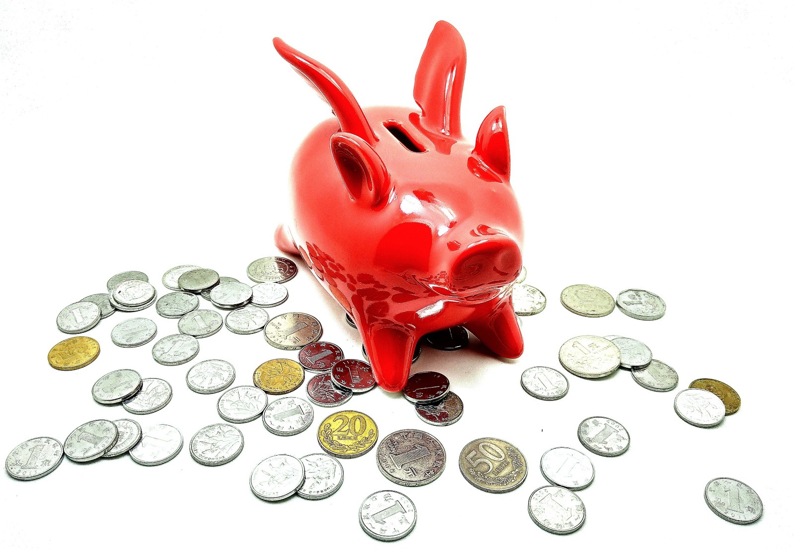 站在风口上猪都能飞电影,站在风口猪也可以飞起来