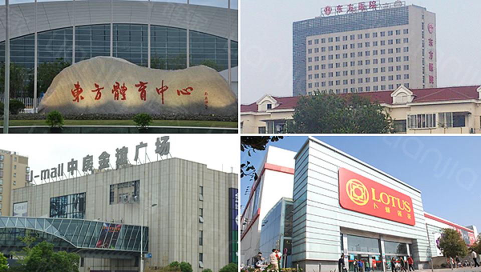 三林板块世博板块,三林板块未来发展