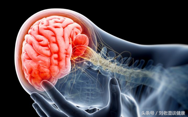 癫痫病羊癫疯是怎么引起的,羊癫疯疾病常见的病因有哪些