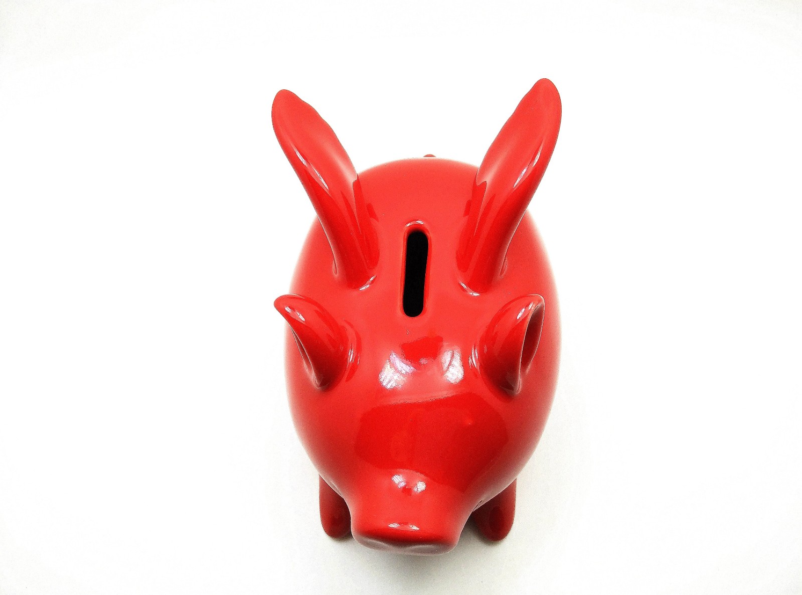 站在风口上猪都能飞电影,站在风口猪也可以飞起来