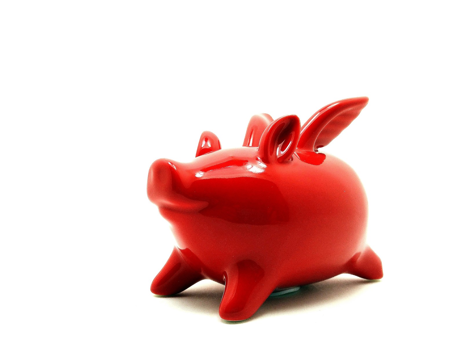 站在风口上猪都能飞电影,站在风口猪也可以飞起来