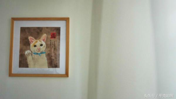 城食｜至纯至美在觅兔，洗净铅华的纯色世界