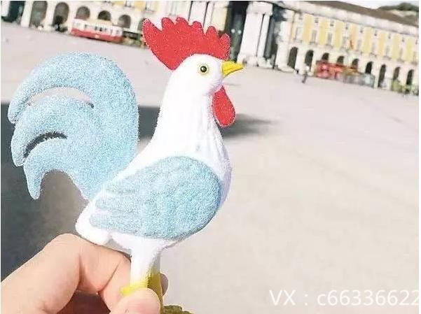 最热销的干货,市场干货哪种最畅销