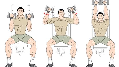 练就宽厚的肩膀，一对哑铃就足够，让你在家打造完美三角肌