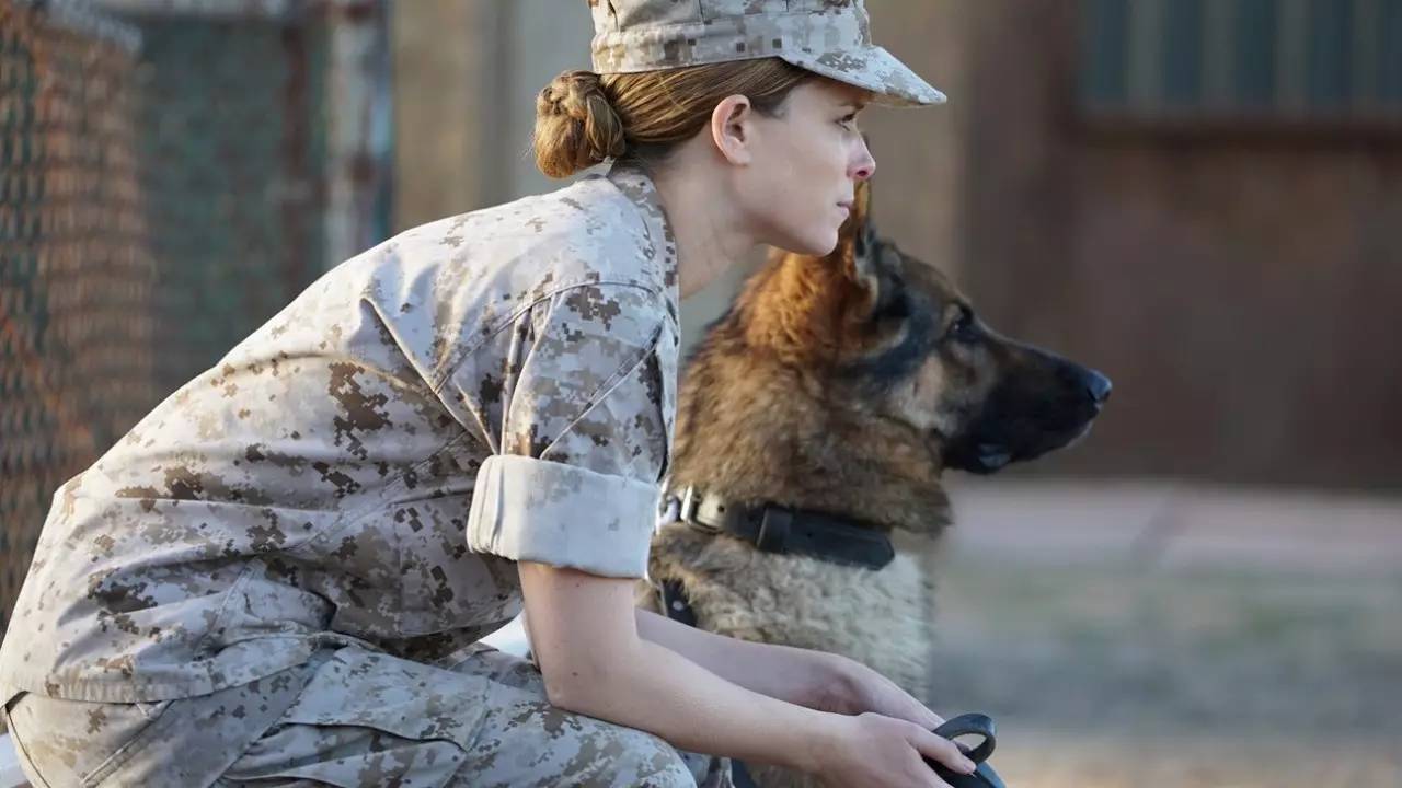 盖尔加朵神奇女侠1984完整,盖尔加朵票房