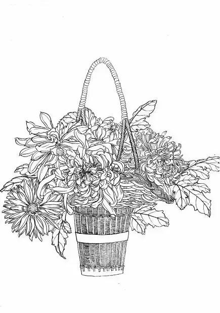 菊花白描工笔画图片大全,国画菊花鸟类白描教学视频
