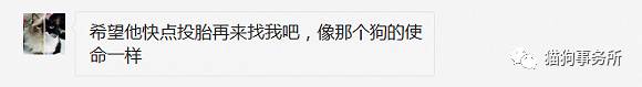 为什么猫可以让一个人的心情变好,猫能使人成熟的从来不是岁月