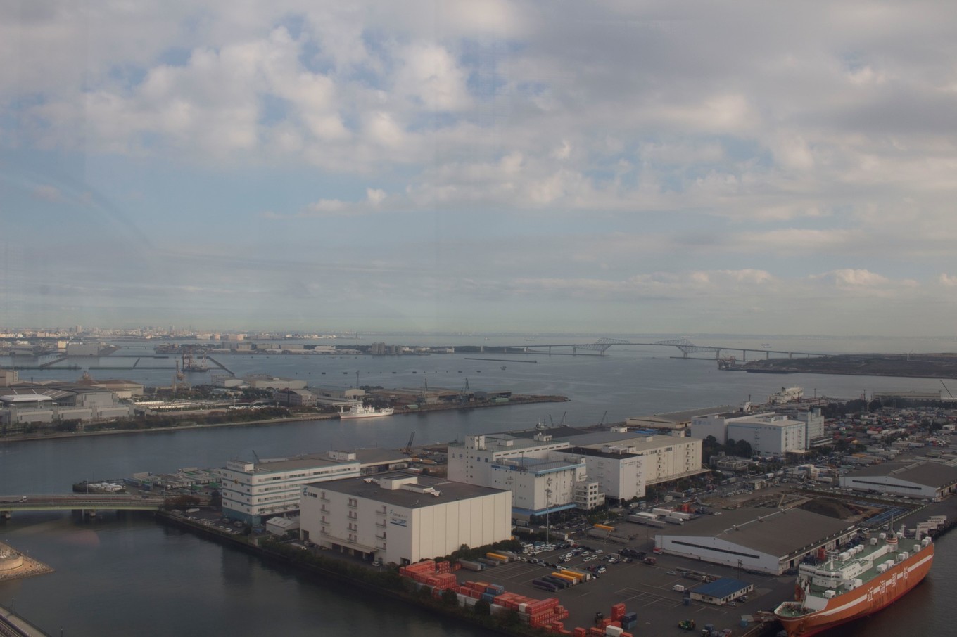 日本物语落樱下的邂逅,浪漫的日本物语