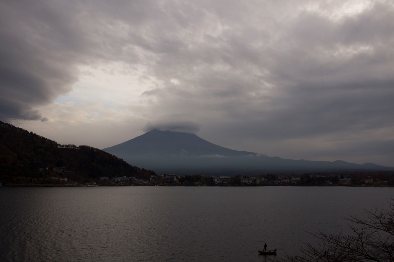日本物语落樱下的邂逅,浪漫的日本物语