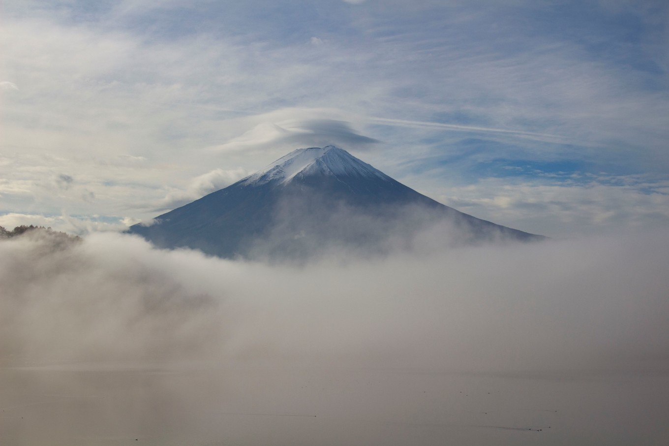 日本物语落樱下的邂逅,浪漫的日本物语