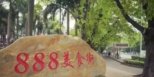 独家体验｜“苗柏”也挡不住珠海有轨电车通车的步伐！