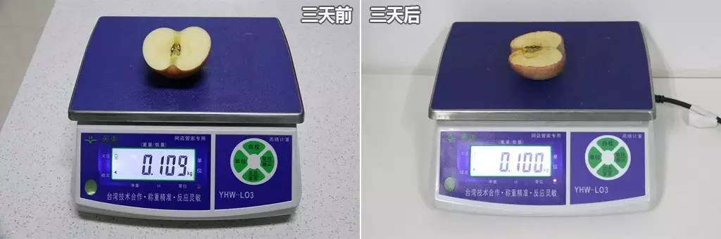 入门冰箱哪种品牌性价比高,入门冰箱推荐