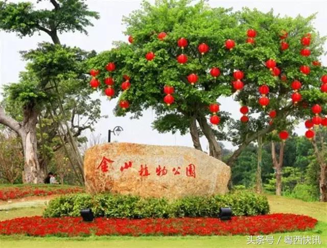 阳新莲花湖足球场,阳新最大足球场