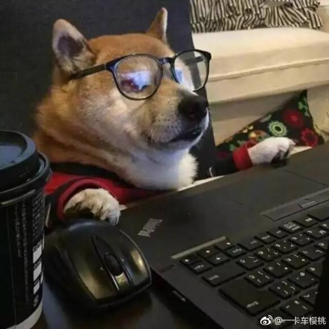 ets取消托福成绩吗,ets托福考试最新政策